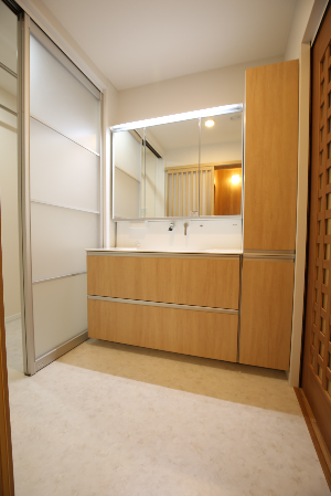 ���������ʏ�